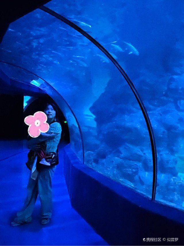 福州水族店【福州多家特色水族店】