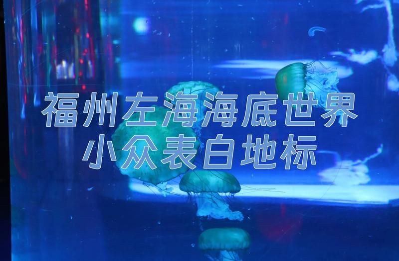福州水族店【福州多家特色水族店】