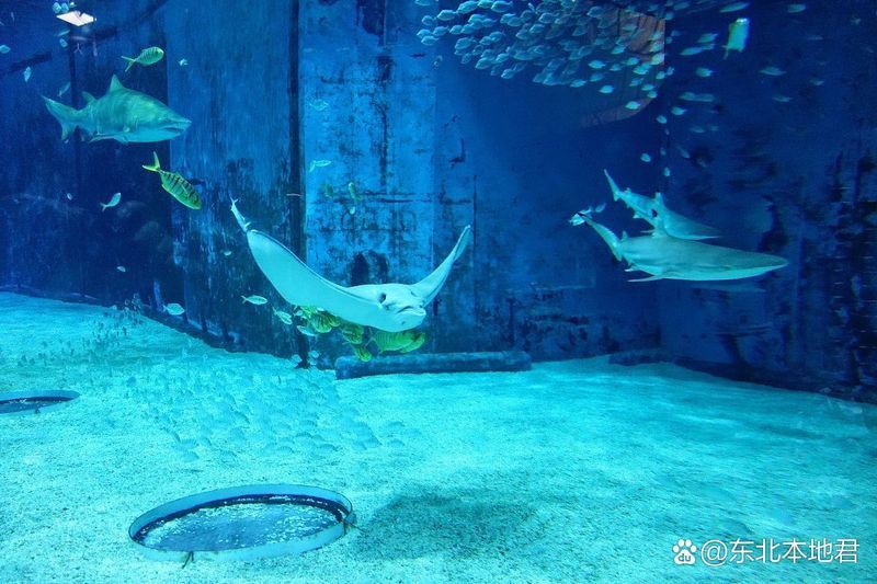 福州水族店【福州多家特色水族店】