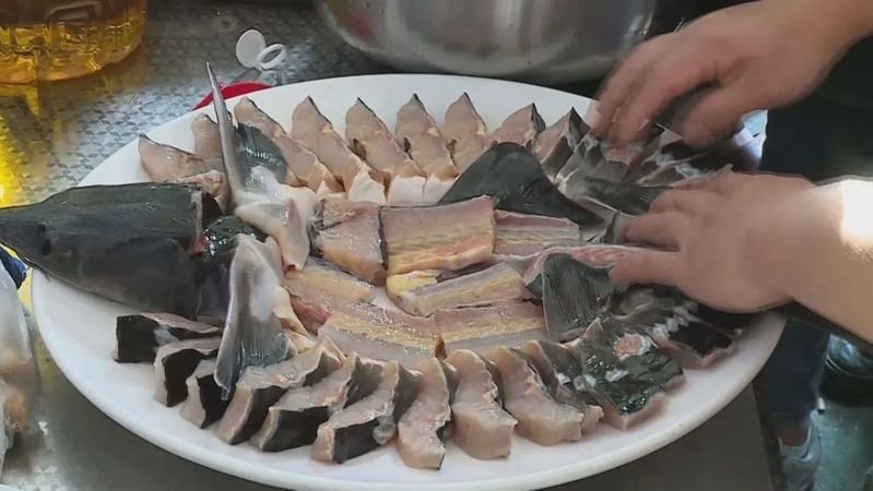 云縣龍魚店，云縣愛(ài)華光龍魚店