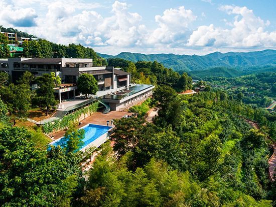 大余水族店【大余縣有哪些水族店】