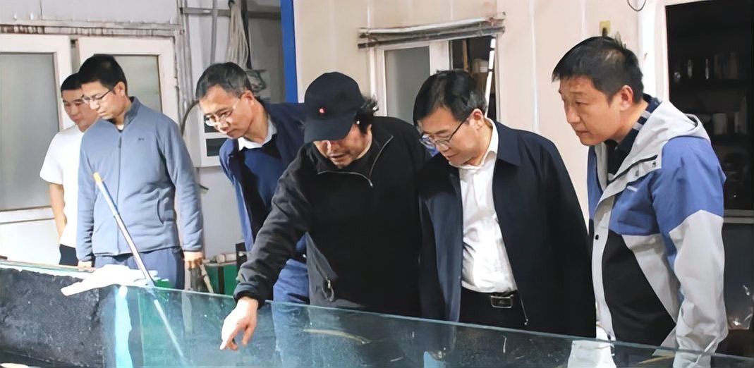 南開龍魚店【南開區有沒有線上龍魚店】