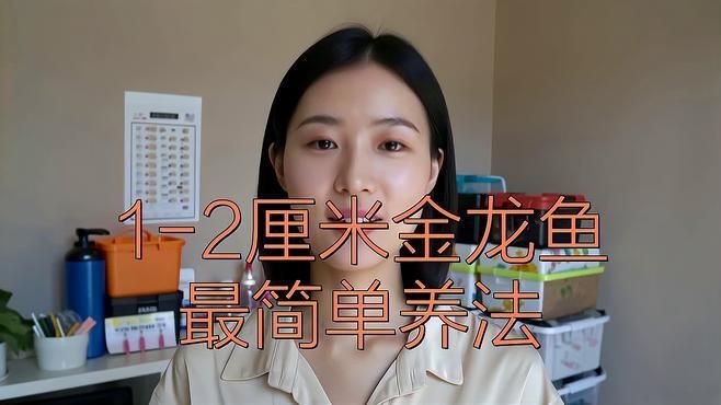 新手養金龍魚怎么養水【新手養金龍魚怎么養水對于新手而言】