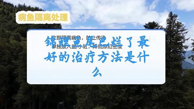 魚爛尾加鹽后多久見效？【魚爛尾加鹽后見效時間】