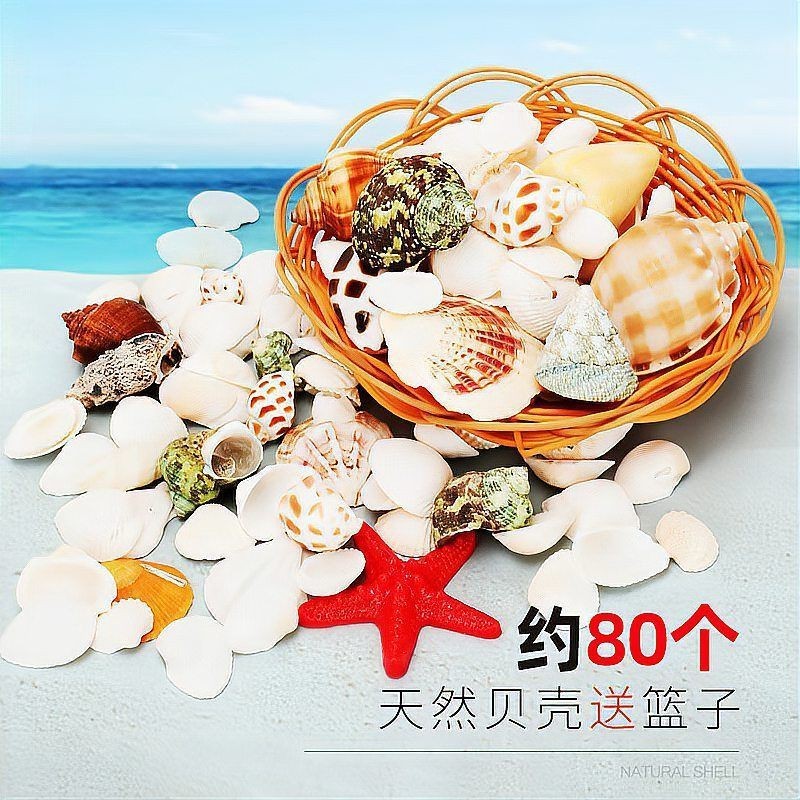 魚缸的裝飾物有哪些講究【《魚缸的裝飾物有哪些講究》在布置魚缸時，裝飾物的搭配大有門道】
