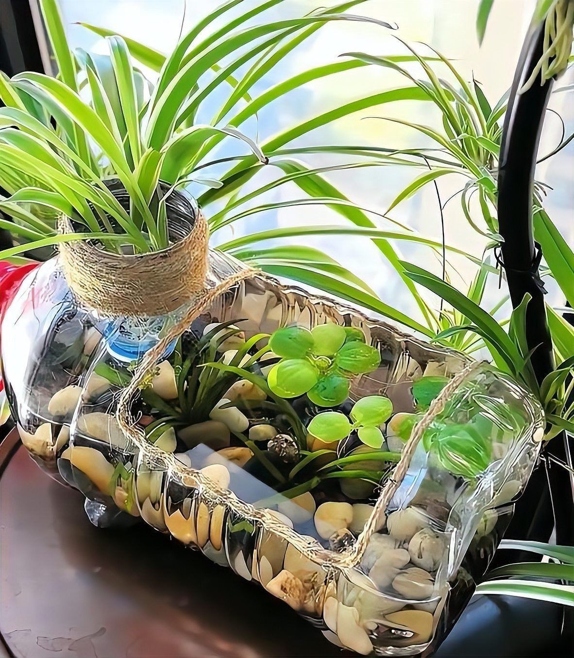 魚缸的裝飾物有哪些講究【《魚缸的裝飾物有哪些講究》在布置魚缸時，裝飾物的搭配大有門道】