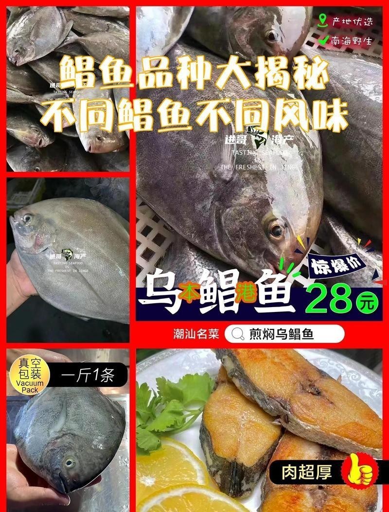 淡水鯧魚與海鯧魚區別【淡水鯧魚與海水鯧魚的區別，淡水鯧魚和淡水鯧魚的區別】 淡水鯧魚與海鯧魚區別【淡水鯧魚與海水鯧魚的區別，淡水鯧魚和淡水鯧魚的區別】 龍魚論壇 第2張
