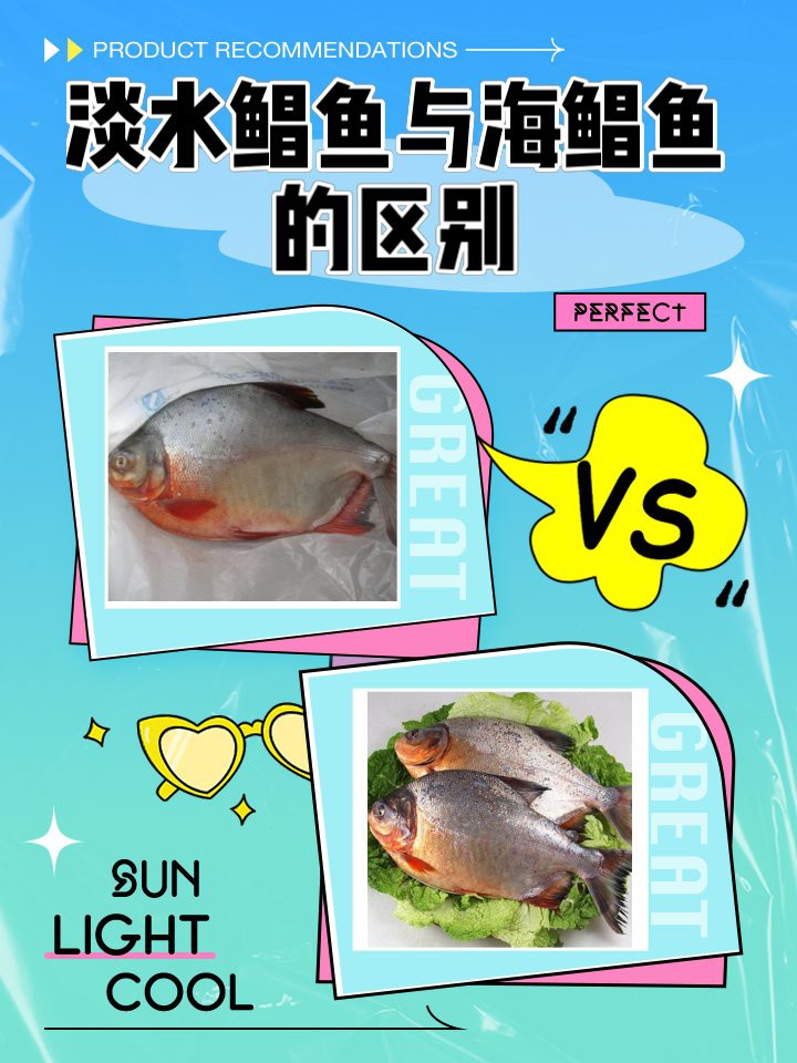 淡水鯧魚與海鯧魚區別【淡水鯧魚與海水鯧魚的區別，淡水鯧魚和淡水鯧魚的區別】 淡水鯧魚與海鯧魚區別【淡水鯧魚與海水鯧魚的區別，淡水鯧魚和淡水鯧魚的區別】 龍魚論壇 第4張
