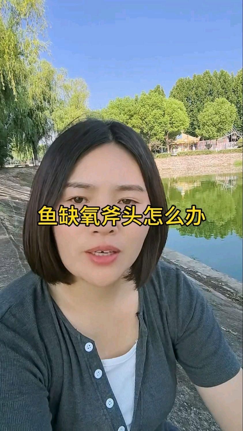 魚塘浮頭時應該如何緊急處理？【《魚塘浮頭時應該如何緊急處理？》】 魚塘浮頭時應該如何緊急處理？【《魚塘浮頭時應該如何緊急處理？》】 龍魚百科 第3張