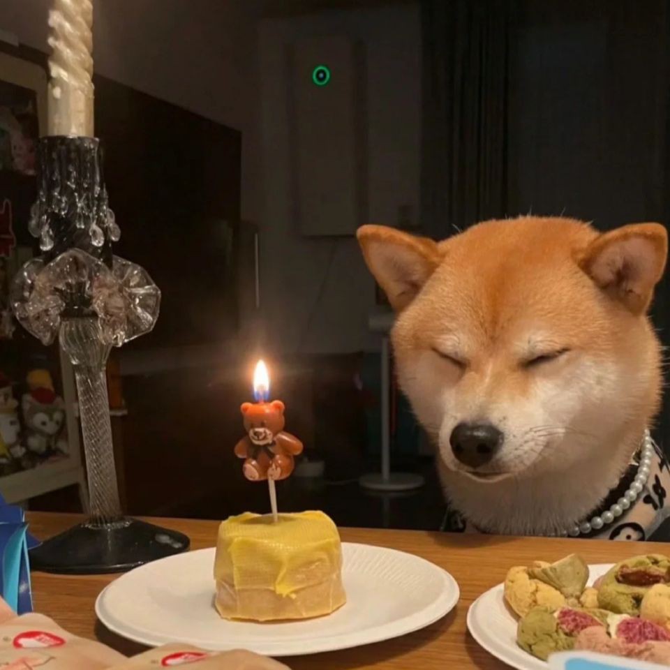 吉印水草燈爆藻燈【吉印水草燈與爆藻燈的科學應用指南:吉印水草燈與爆藻燈的區別】