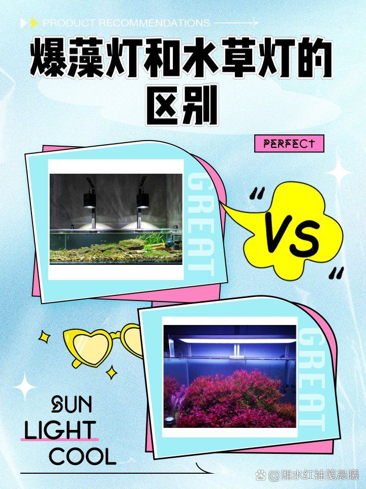 吉印水草燈爆藻燈【吉印水草燈與爆藻燈的科學應用指南:吉印水草燈與爆藻燈的區別】