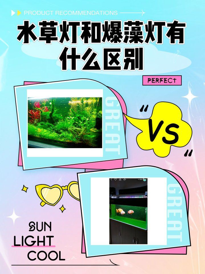 吉印水草燈爆藻燈【吉印水草燈與爆藻燈的科學應用指南:吉印水草燈與爆藻燈的區別】