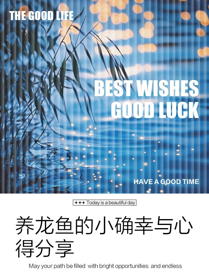 朝陽龍魚店【朝陽區威威鐵板龍魚】