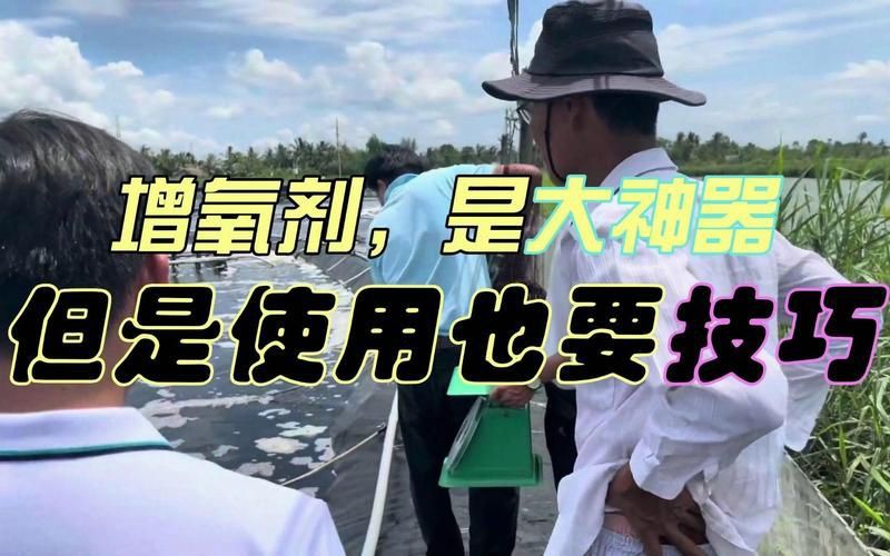 有哪些化學(xué)增氧劑可以使用？【化學(xué)增氧劑的使用與注意事項(xiàng)】