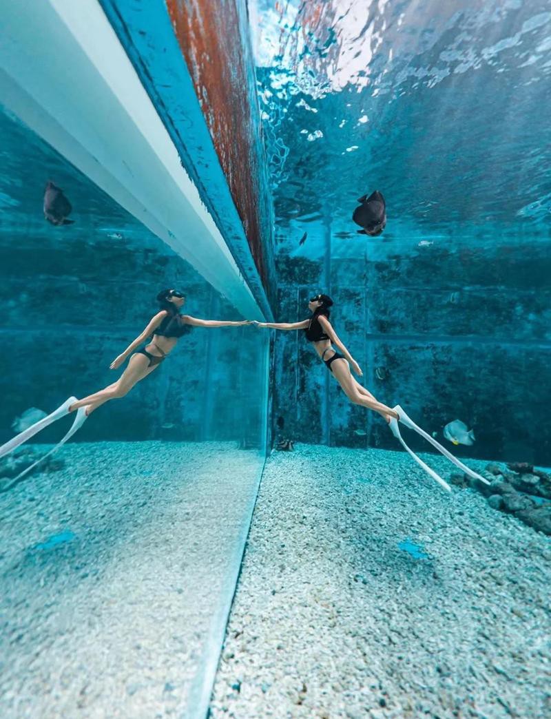 崖州水族店【三亞崖州親子海洋探索樂(lè)園人少景美超出片人少景美超出片】