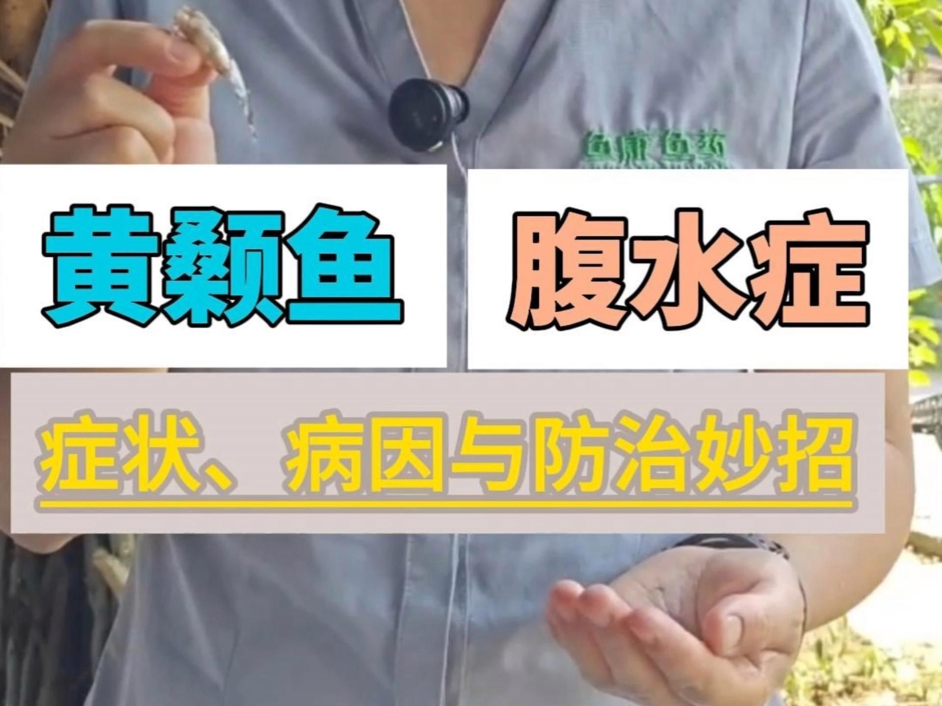 有哪些魚類容易得腹水??？【孔雀魚腹水怎么辦其他常見魚病問題全民小視頻詳解】