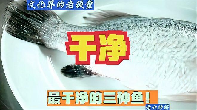 最干凈的三種魚【最干凈的三種魚有哪些】