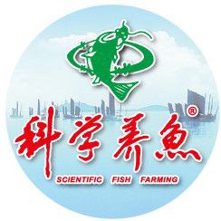 魚爛真菌和細(xì)菌圖片【魚體腐爛現(xiàn)象常由真菌和細(xì)菌共同作用引發(fā)】
