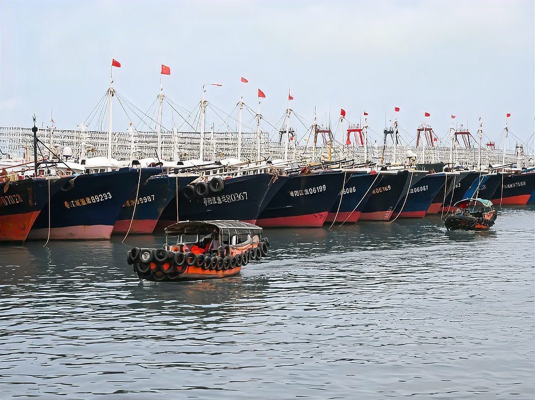 揭東水族店【揭陽市揭東區曲溪龍氏水族館有哪些特色品種】
