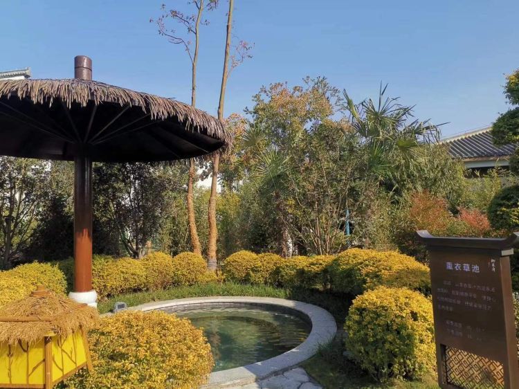 鳳臺水族店【鳳臺縣城關鎮(zhèn)娟紅水族館】