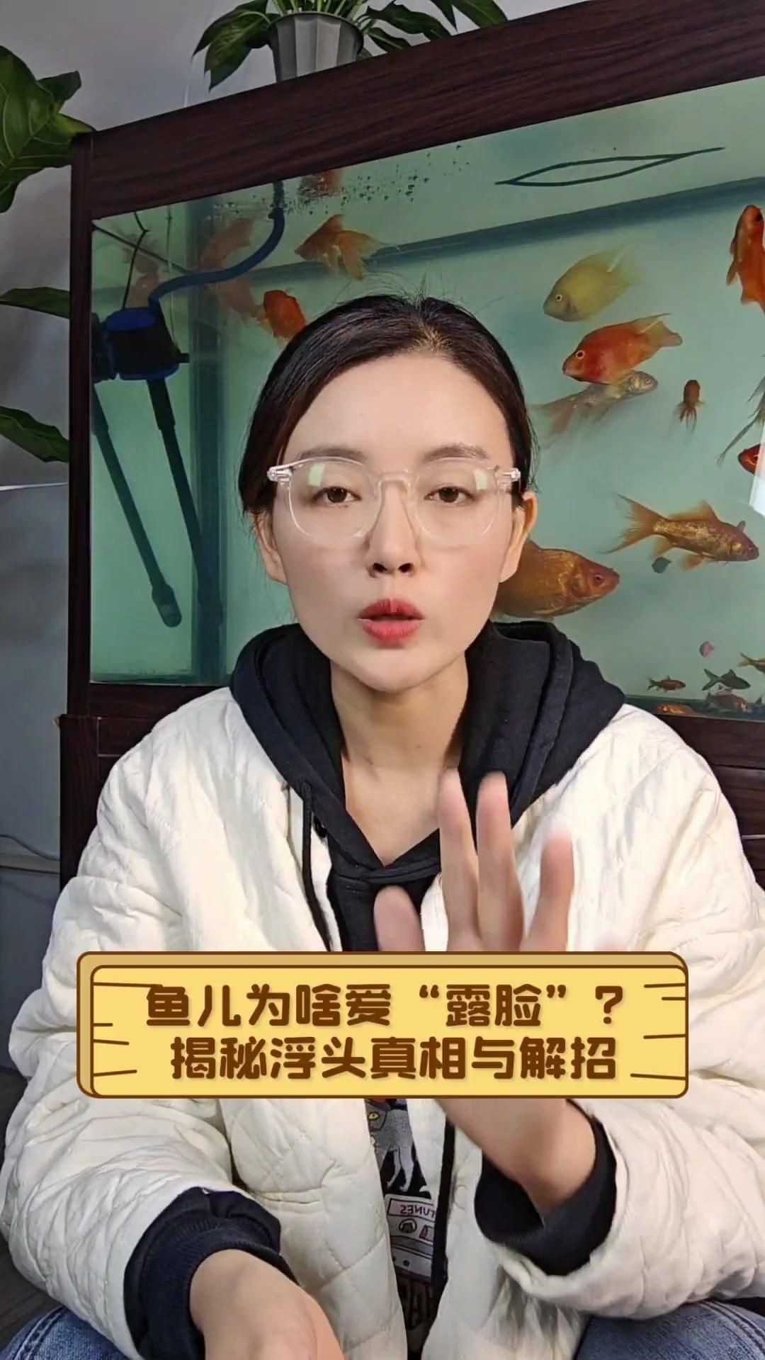 魚浮頭時(shí)可以喂食嗎？【《魚浮頭時(shí)可以喂食嗎》當(dāng)魚出現(xiàn)浮頭現(xiàn)象時(shí)一般不建議喂食】