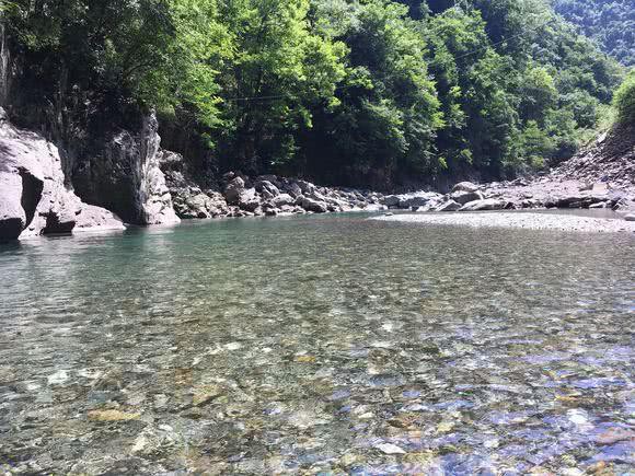 淡水大眼睛魚【淡水大眼睛魚是一種什么樣的存在？】