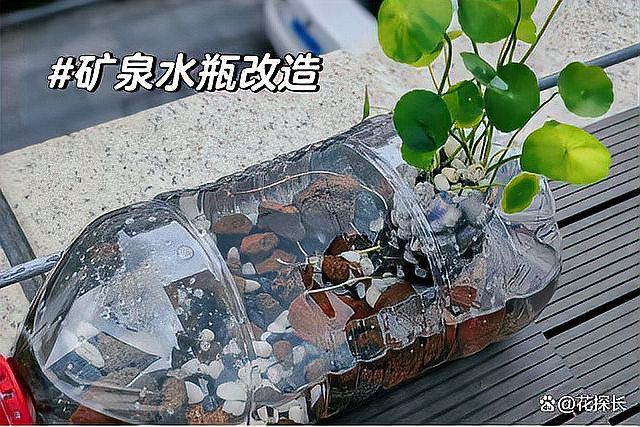 菏澤魚缸定做【花探長菏澤定做大型魚缸組缸海鮮缸馬可波羅網魚缸訂做合同協議書】 菏澤魚缸定做【花探長菏澤定做大型魚缸組缸海鮮缸馬可波羅網魚缸訂做合同協議書】 全國水族館企業名錄 第1張