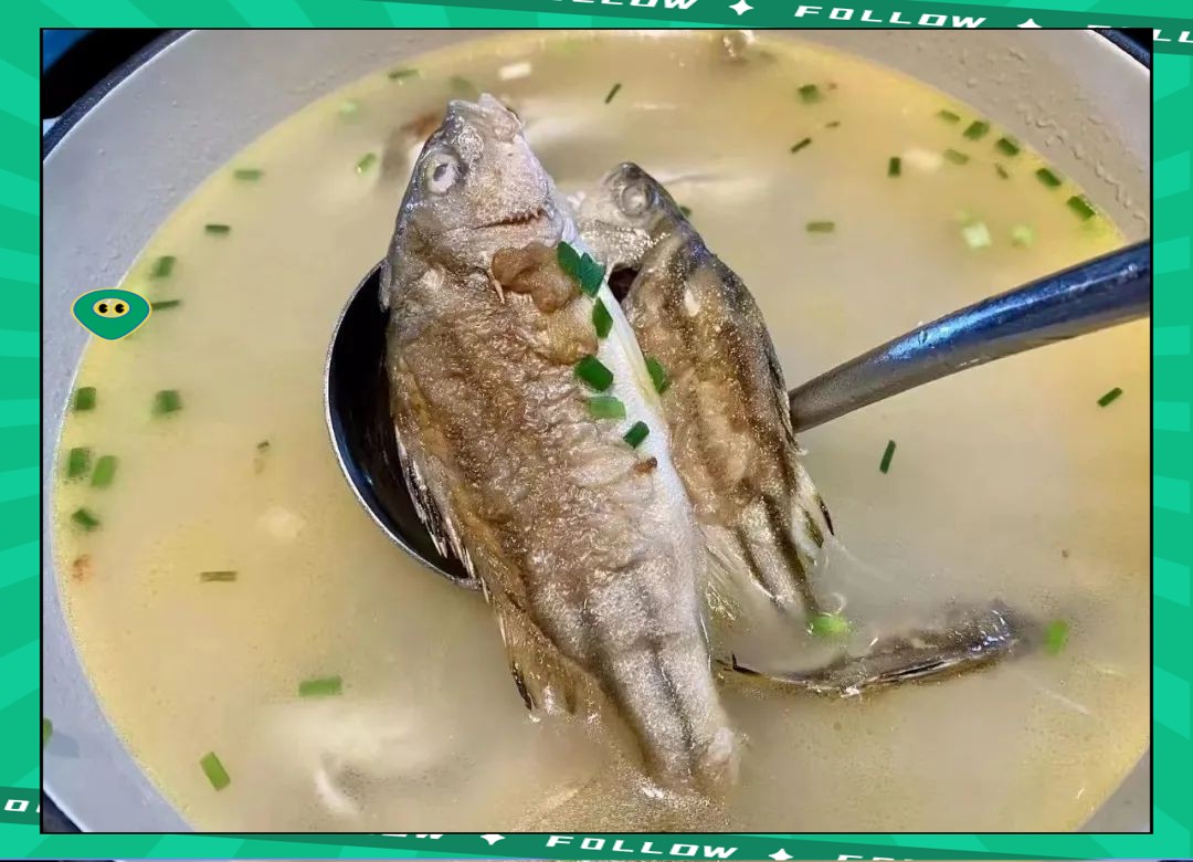 丁公魚圖片大全【“丁公魚圖片大全”】