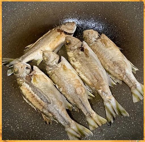 丁公魚圖片大全【“丁公魚圖片大全”】