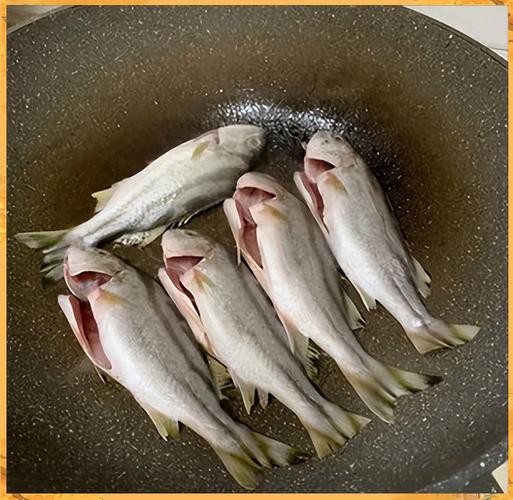 丁公魚圖片大全【“丁公魚圖片大全”】