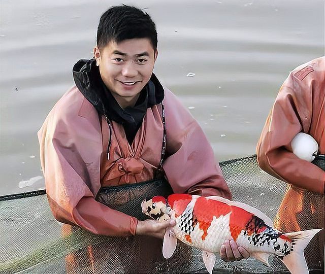 丹頂錦鯉多少錢一條最貴【丹頂錦鯉年入千萬婁蘭竟只排第三，魚鄰福利助你輕松養魚】 丹頂錦鯉多少錢一條最貴【丹頂錦鯉年入千萬婁蘭竟只排第三，魚鄰福利助你輕松養魚】 龍魚論壇 第4張