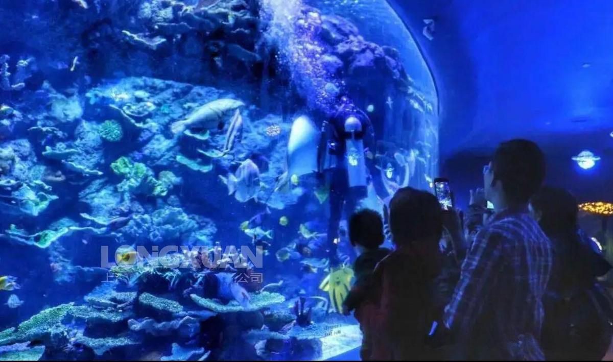 巴音郭楞蒙古自治州魚缸維護【巴音郭楞古自治州大型魚缸維護】