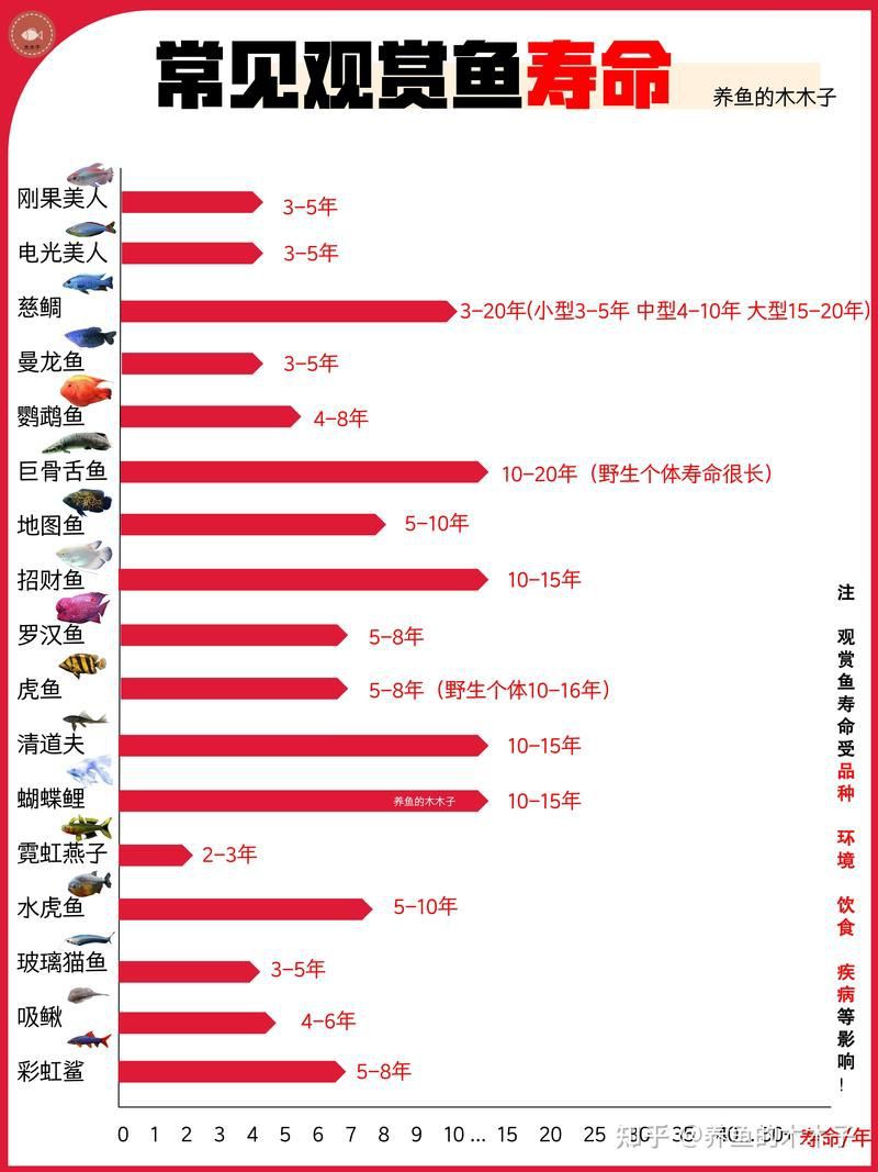 最長壽的觀賞魚排行【農情萬家，常見觀賞魚壽命排行榜】