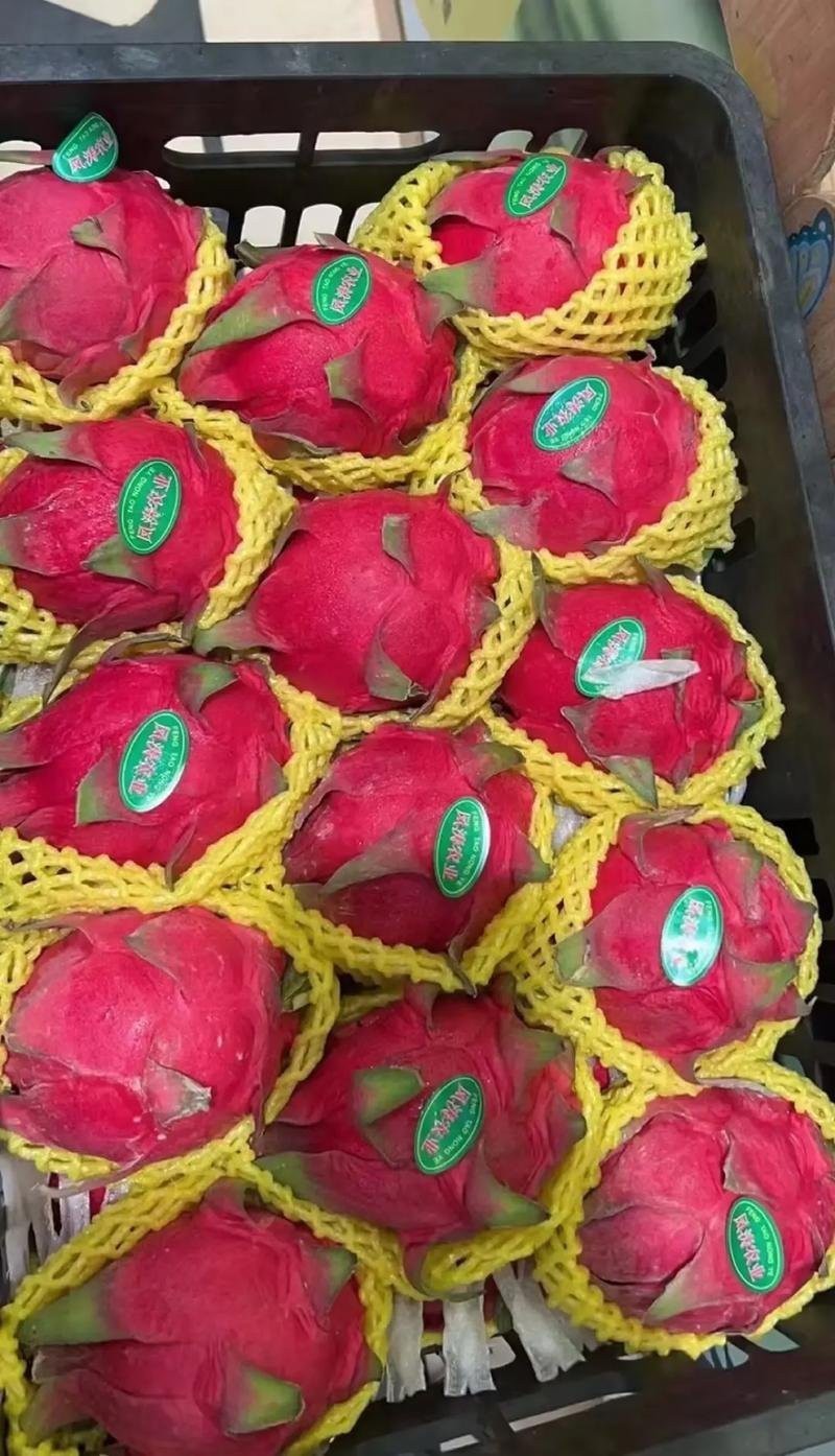 火龍果顏色頭發【“火龍果顏色頭發”——一種以天然紫到發梢打造的時尚發色】