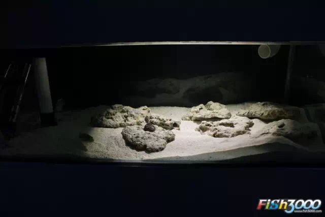 石嘴山魚缸定做【養魚大全寧夏定制魚箱銀川拉魚水箱石嘴山魚缸定制服務】