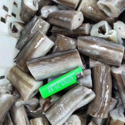 電鰻一般多少錢一斤【電鰻市場價格跨度大】