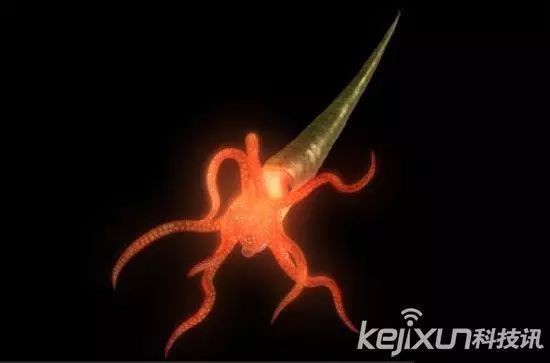 恐龍時期十大名魚【十大遠古魚類盤點珠海市海洋資源保護開發協會驚】 龍魚百科 第1張 恐龍時期十大名魚【十大遠古魚類盤點珠海市海洋資源保護開發協會驚】 恐龍時期十大名魚【十大遠古魚類盤點珠海市海洋資源保護開發協會驚】 龍魚百科 第1張