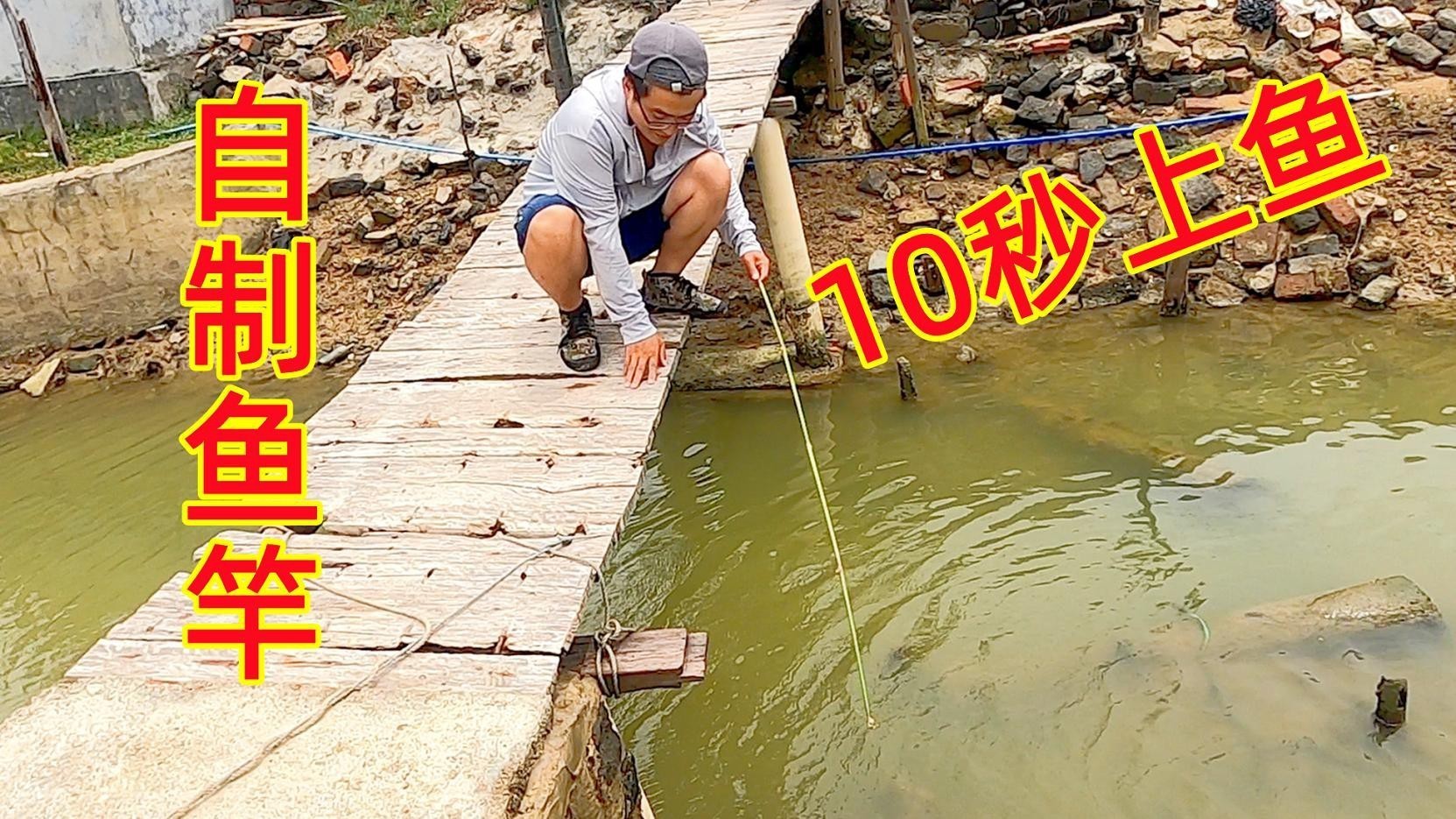淡水蝦虎魚為何盡量少吃【淡水蝦虎魚盡量少吃】