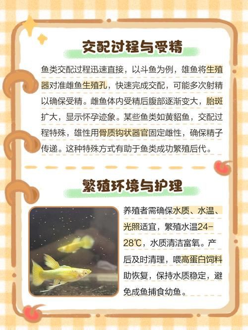 魚交尾原理示意圖【魚交尾原理示意圖生動展現(xiàn)了魚類繁殖過程中關(guān)鍵行為】