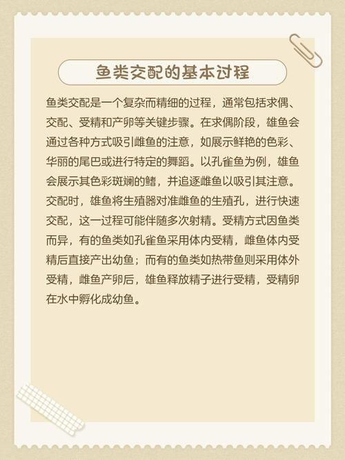 魚交尾原理示意圖【魚交尾原理示意圖生動展現(xiàn)了魚類繁殖過程中關(guān)鍵行為】