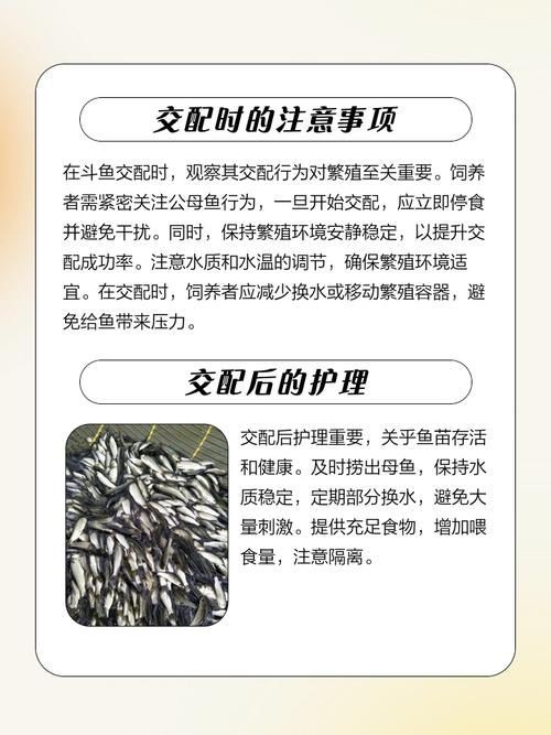 魚交尾原理示意圖【魚交尾原理示意圖生動展現(xiàn)了魚類繁殖過程中關(guān)鍵行為】