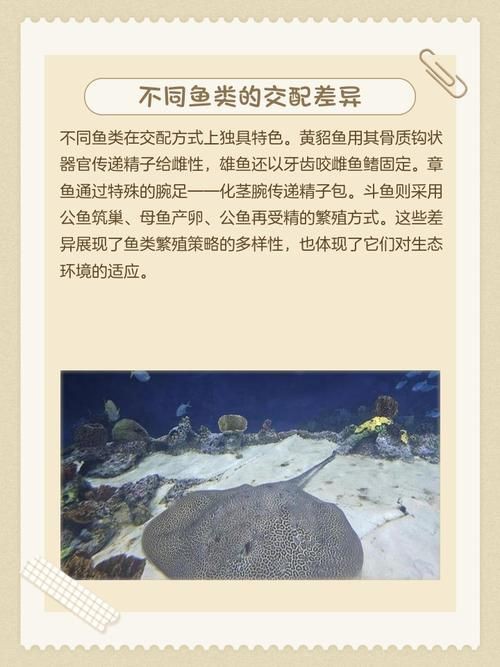 魚交尾原理示意圖【魚交尾原理示意圖生動展現(xiàn)了魚類繁殖過程中關(guān)鍵行為】