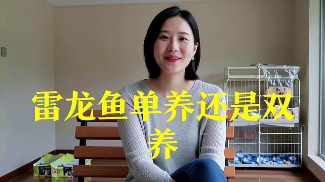 雷龍魚養一只還是一對【雷龍魚一缸能養幾條愛寵顧問】