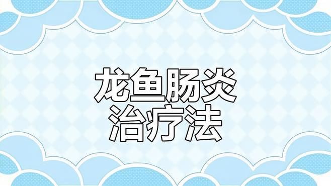 有哪些藥物可以幫助龍魚恢復？【助力龍魚恢復的藥物】
