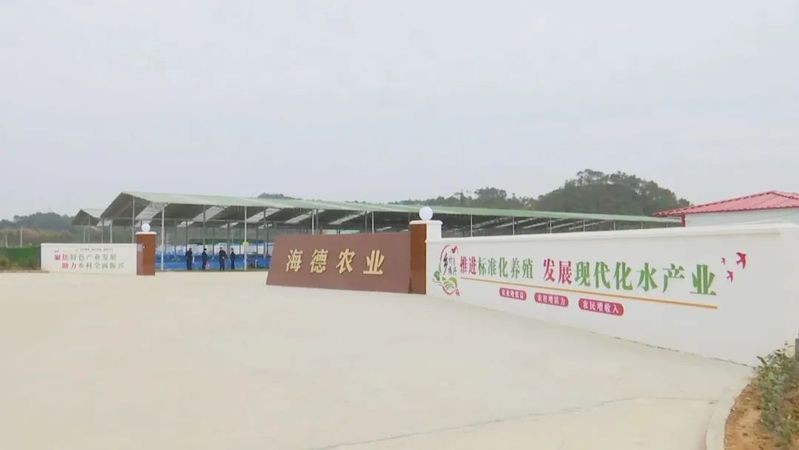 <strong><mark>梧州</mark></strong>魚缸維護【<strong><mark>梧州</mark></strong>魚缸維護全攻略】