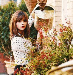 上海最大的魚缸批發市場【上海水族批發市場】