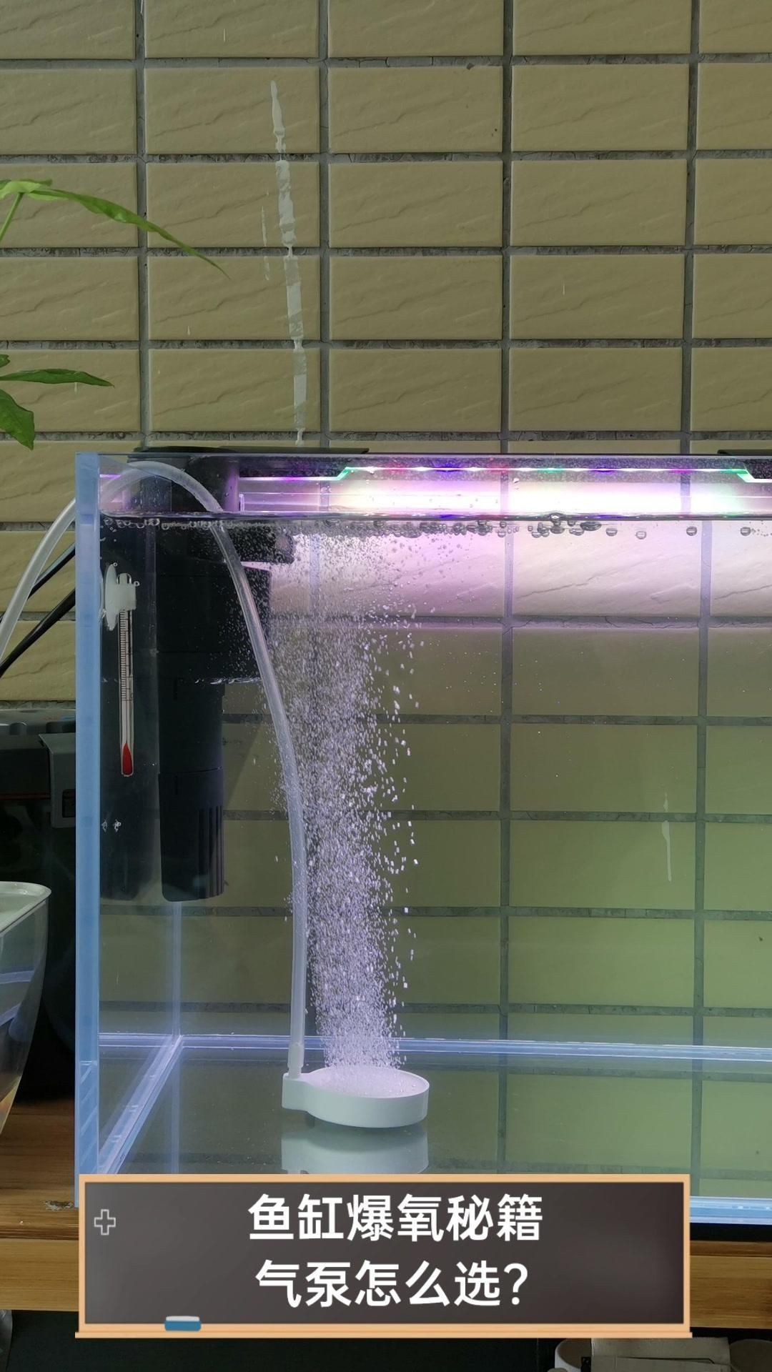 魚缸增氧泵哪個品牌好【2025年主流的魚缸增氧泵品牌】