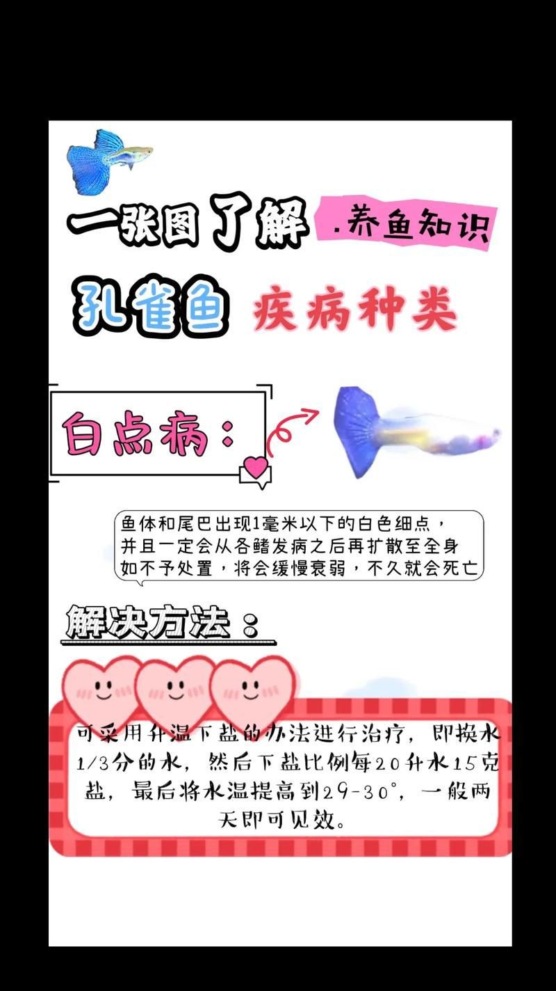 魚真菌感染的癥狀圖片【魚真菌感染是一種常見的水產疾病——鰓霉病診斷與防治措施】