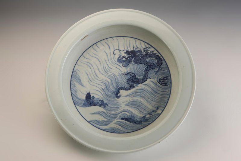 鯉魚真的能化成龍嗎？【《鯉魚真的能化成龍嗎？》】