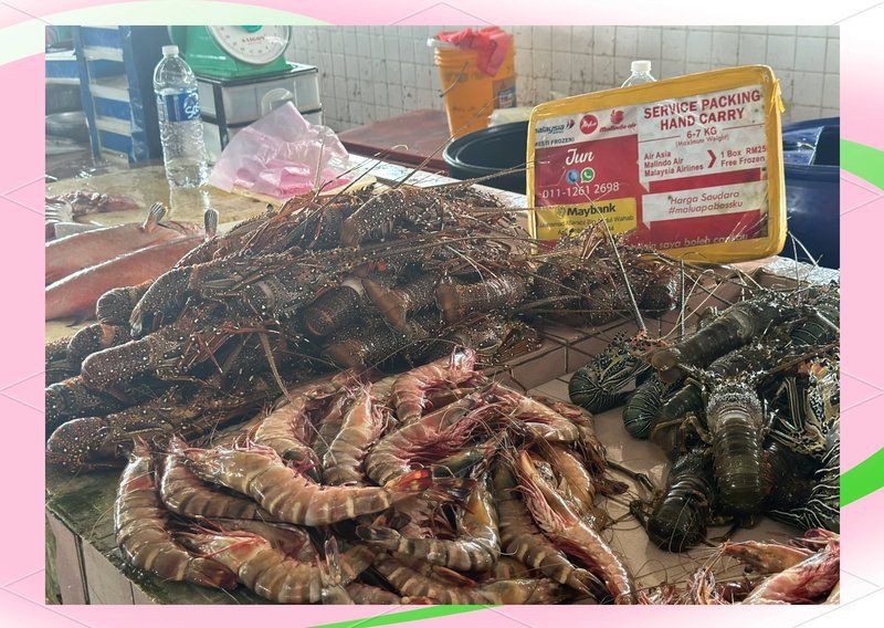 馬來西亞海鮮種類【馬來西亞十大名魚喵駕導,馬來西亞海鮮大冒險】